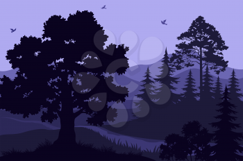 Evening Mountain Forest Landscape, Trees, Bush, Grass and Birds Silhouettes. Vector
