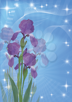 Flowers iris on abstract blue background, picture for holiday design. Vector eps10, contains transparencies