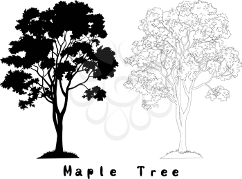 Maple Tree with Leaves and Grass Black Silhouette, Contours and Inscriptions Isolated on White Background. Vector
