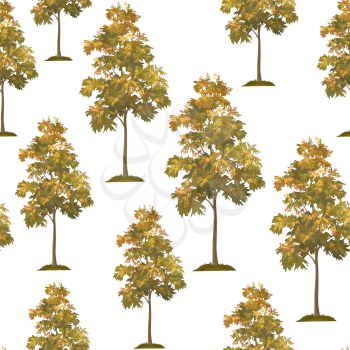 Seamless Pattern, Acacia Tree Isolated on Tile White Background. Vector