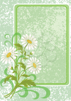 Floral holiday background with chamomile flowers and frame. Vector eps10, contains transparencies