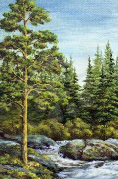 Painting, picture oil paints on a canvas. Landscape, mountain river. Altai, Russia