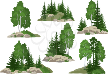 Set Landscapes, Isolated on White Background Coniferous and Deciduous Trees and Grass on the Rocks. Vector