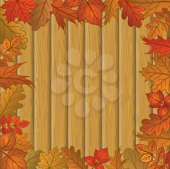 Nature background with framework of autumn leaves of various plants and wooden board fence. Vector