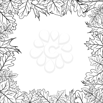 Frame from leaves of various plants, black contours on white. Vector