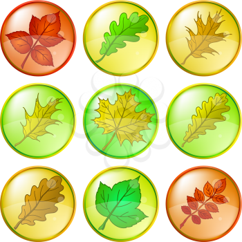Leaves buttons, green, set: dogrose, oak, raspberry, oak iberian, maple, eps10, contains transparencies. Vector