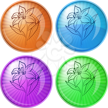 Icons, set buttons: flowers lily. Vector eps10, contains transparencies
