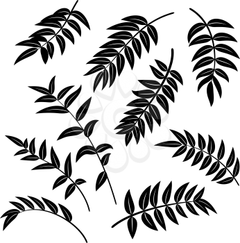 Leaves of Symbolical Plants, Black Pictograms, Nature Elements Isolated on White. Vector