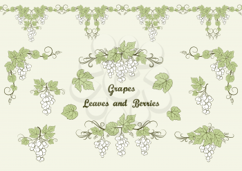 Set of Grape Berries Contours and Green Leaves and Seamless Pattern. Vector