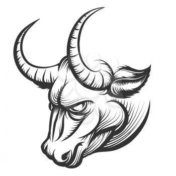 Angry Bull head. Illustration in engraving style. Isolated on white.