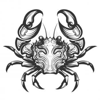Crab Engraving illustration in retro style. Seafood element for menu decor or company label. Hand drawn illustrations isolated on white background