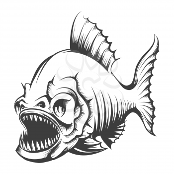 Piranha Fish in Engraving style isolated on white. Vector illustration.