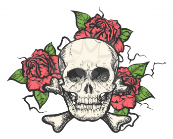 Human skull with rose flowers. Vector illustration in tattoo style.