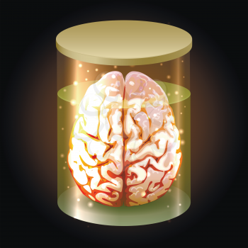 Human brain in a glass jar. Vector illustration.
