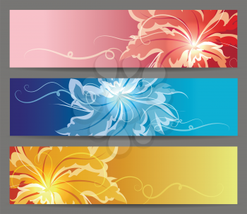 Seyt of Abstract Flower Vector Background. Brochure web or card design elements. Vector illustration.