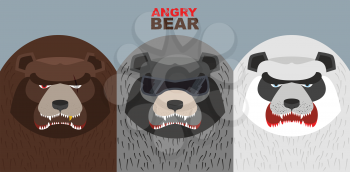 Set bad bears. Wild angry animals. Villains. Vector illustration