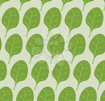 Spinach background. Vector seamless pattern from green leaves of useful plants.