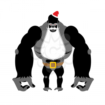 Gorilla Santa Claus. Big Wild Animal with beard and mustache. Strong beast in winter hat. Powerful  primat.
