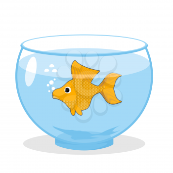 Goldfish in an aquarium. Symbol of fulfillment of all desires. Magic yellow fish.