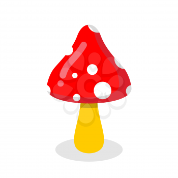 Amanita. Poisonous toxic fungus. Dangerous plant. poison psychedelic mushroom
