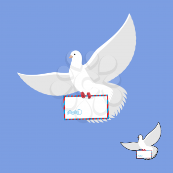 Postal pigeon and mailing envelope. White Dove carries and mail. Flying bird in its message.
