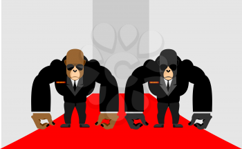 Security Guards of a gorilla. Big Bodyguards Primates in costumes. Vector illustration  monkey
