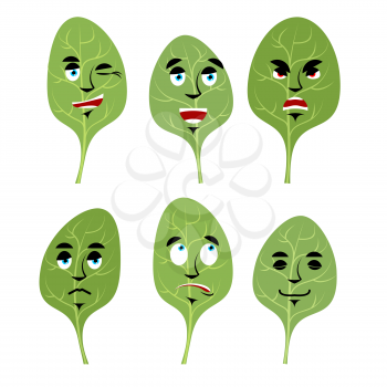 Emotions spinach. Set expressions avatar greens. lettuce leaf Good and evil. Discouraged and cheerful. Face fresh green leaf
