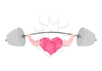 Strong heart and barbell. Fitness love isolated
