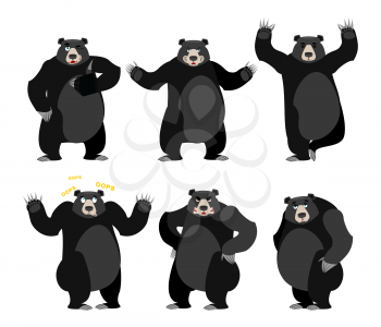 Baribal American black bear set. Grizzly various poses. Expression of emotions. Wild animal yoga. Evil and the good. Sad and happy animal. Large predator strong thumbs up