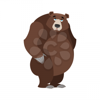 Sad bear. mournful Grizzly. tragic wild animal. Large forest bored beast