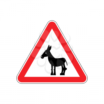 Attention donkey driving. jackass on red triangle. Road sign attention stupid loser