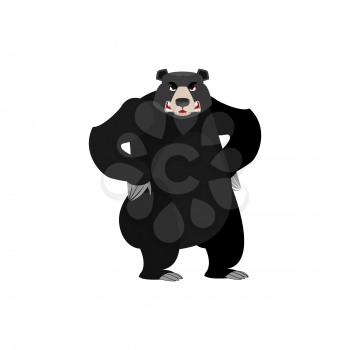 Baribal angry Emoji. American Black Bear evil emotion isolated