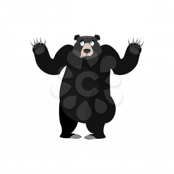 Baribal Surprised Emoji. American Black Bear astonished emotion isolated