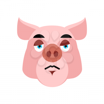 Pig sad Emoji. piggy sorrowful emotion on white background. Farm animal