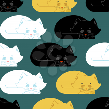 Sleeping cat pattern. kitten be asleep seamless texture. sleep pet background
