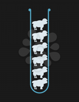 Cloning. Sheep in test tube. Laboratory research
