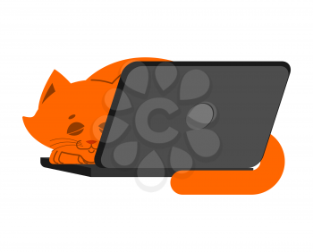 Cat and laptop. Home pet and keyboard. Does not work. Vector illustration
