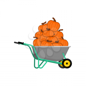 Wheelbarrow and pumpkin. vegetables in garden trolley. Halloween Harvest. Vector Illustration