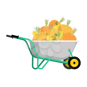 Wheelbarrow and turnip. vegetables in garden trolley. big harvest Vector Illustration