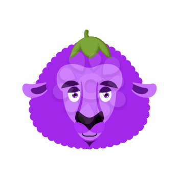 Sheep Eggplant. Purple farm animal. Vector illustration