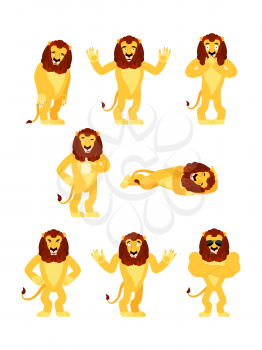 Lion set poses and motion. Wild animal happy and yoga. Beast sleeping and angry. guilty and sad. Vector illustration