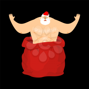 Santa Claus stripper from open red bag. Christmas and New Year Vector Illustration
