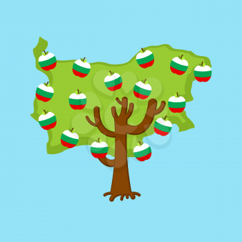 Patriotic apple tree Bulgaria map. apples Bulgarian flag. National State Plant. Vector illustration