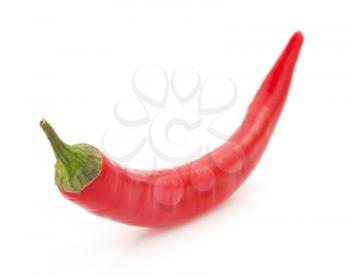 chili pepper isolated on white background