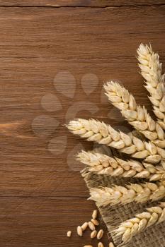 ears of wheat on burlap background