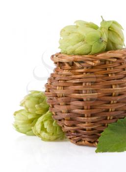 hop in basket isolated on white background