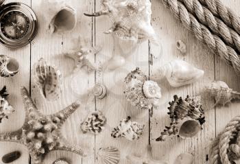 seashell on wooden background texture