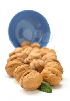 walnuts in bowl isolated on white background