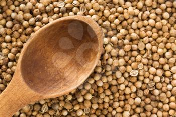 Coriander spices and spoon as  background