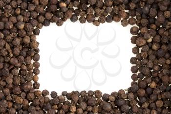 black  pepper spices isolated on white background